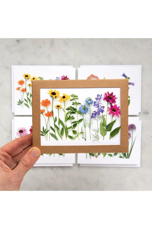 Summer Flower Rainbow Card Set