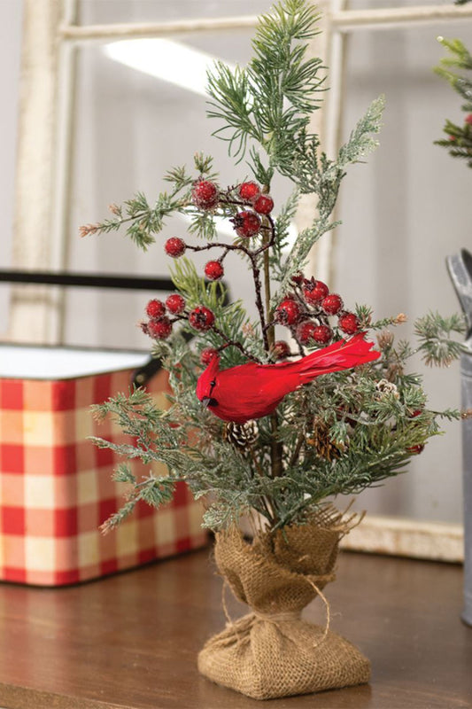 The Mountain Berry Pine Tree with Cardinal