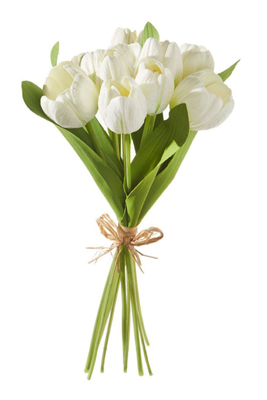 Tulip bundle