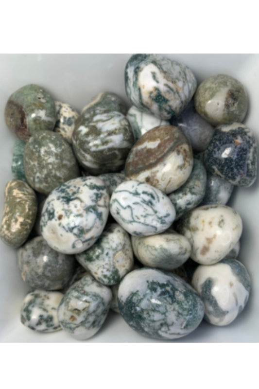 Tumbled Tree Agate