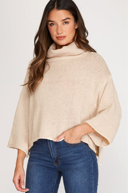 Turtleneck Knit Sweater